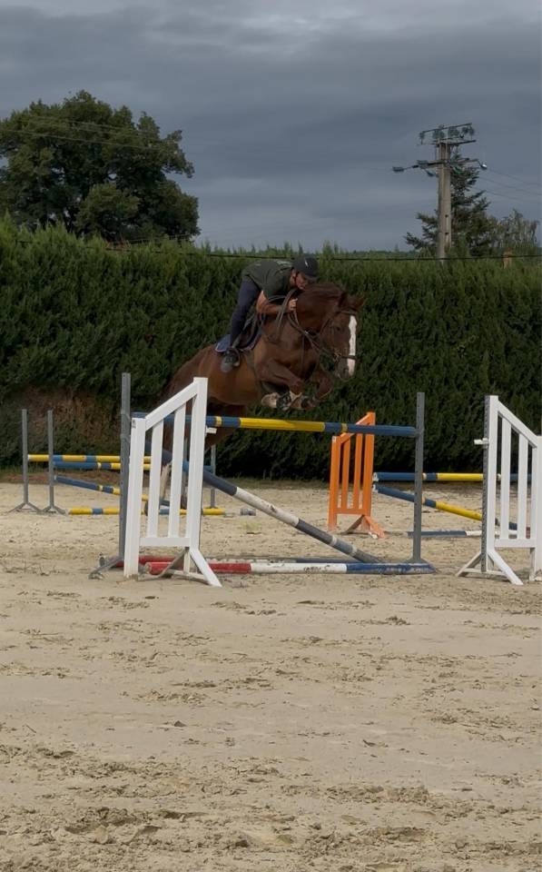 Kannan &agrave; vendre ou location 