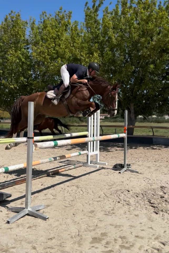 Kannan &agrave; vendre ou location 