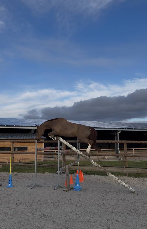 Kannan &agrave; vendre ou location 