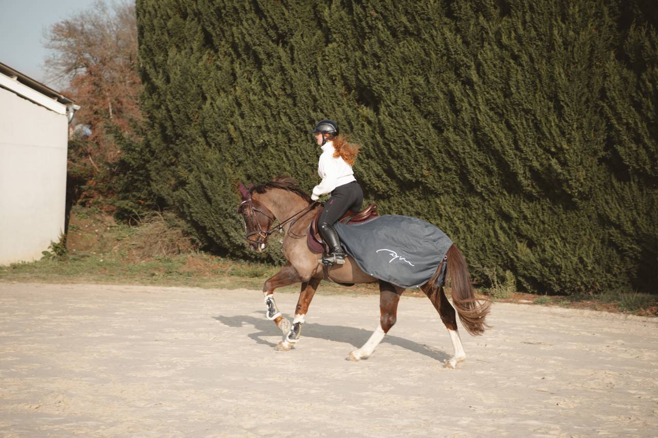 Kannan &agrave; vendre ou location 