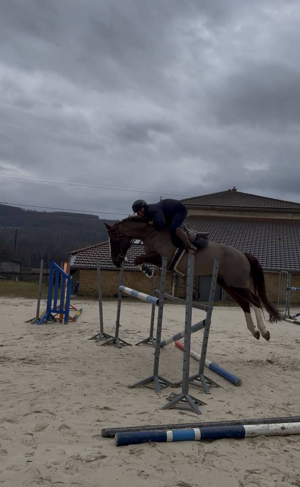 Kannan &agrave; vendre ou location 