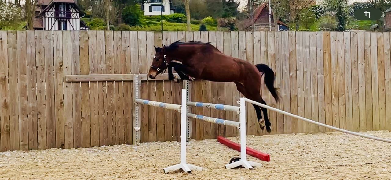 Joli 3 ans polyvalent 