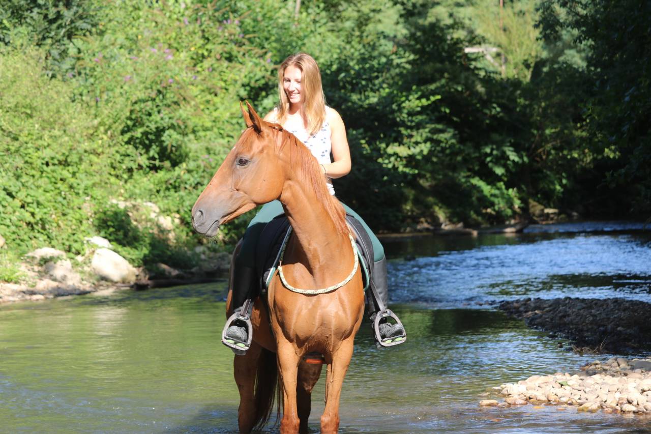 Demi-pension jument pur sang anglais 9 ans 1m60