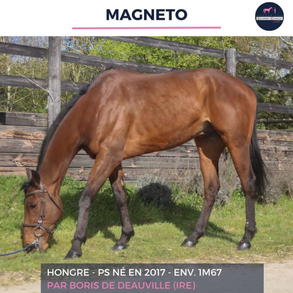 MAGNETO - PS - 9 ANS 