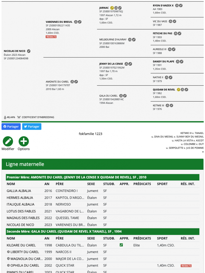 Hongre / 3 ans - Varennes du Breuil x Jenny de la Cense