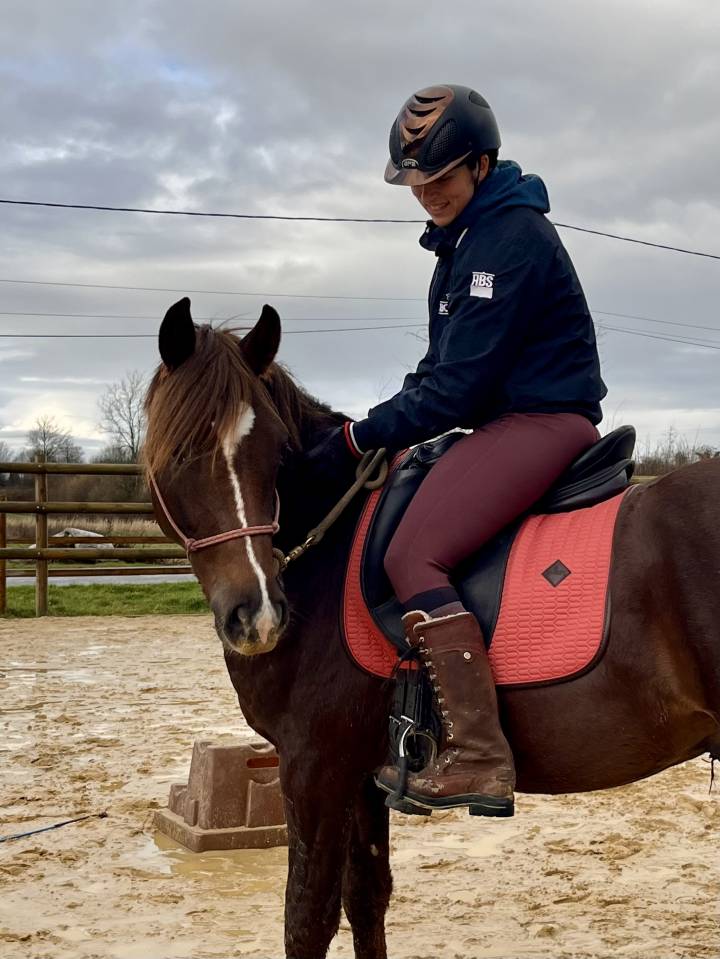 D&eacute;bourrage et Education jeunes chevaux