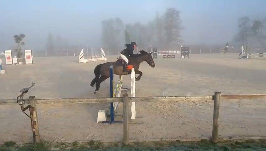 Top 4 ans Vagabond sur une lign&eacute; SF Originel