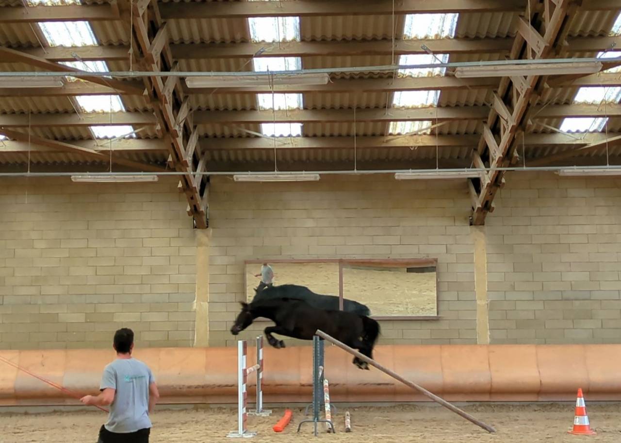 Top 4 ans Vagabond sur une lign&eacute; SF Originel