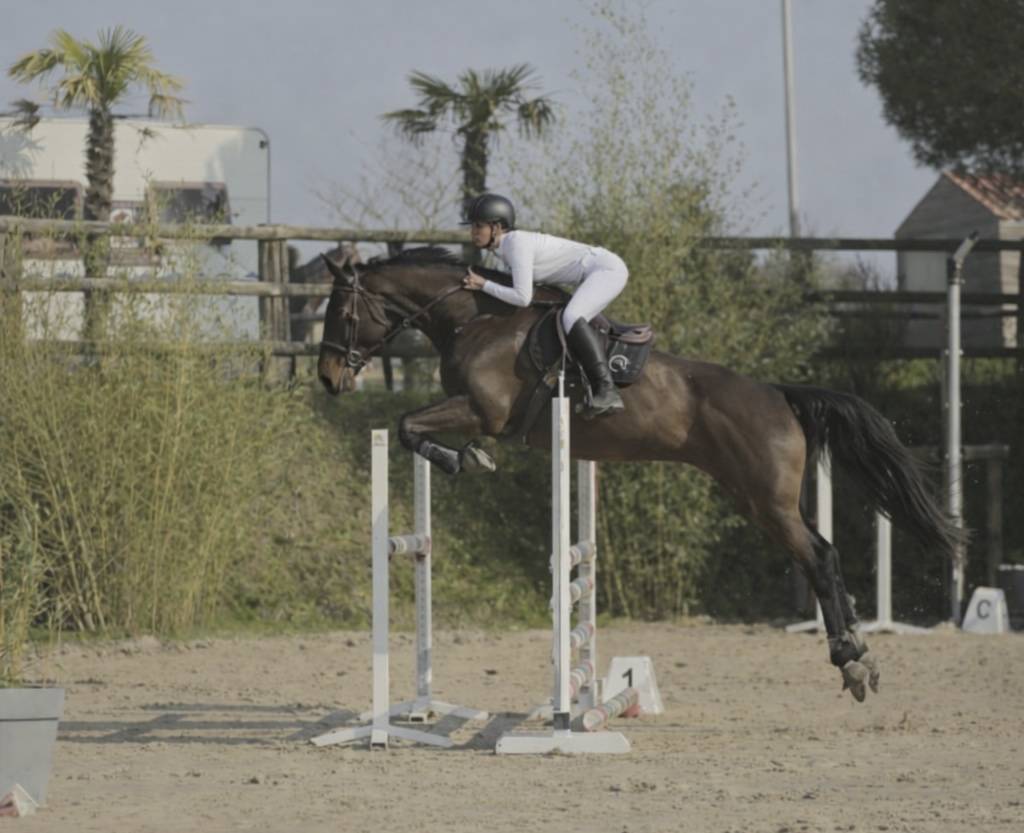 Hongre pr&ecirc;t 115/120 