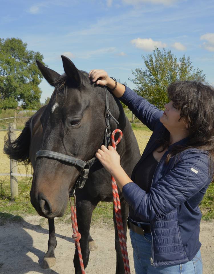 saddle fitting, bridle et bit fitting