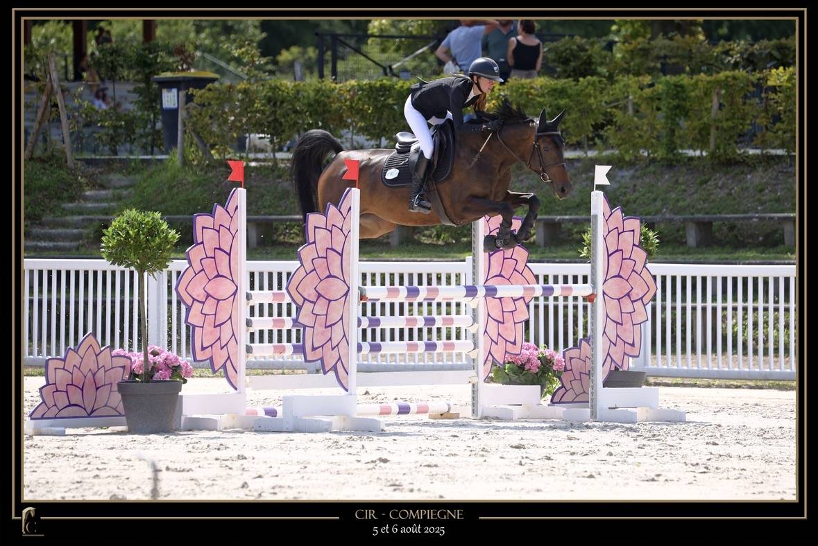 &Agrave; vendre jument de 5 ans 