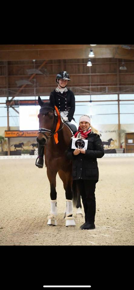 Hongre - BWP - 15 ans - Dressage / CDI YR  - France
