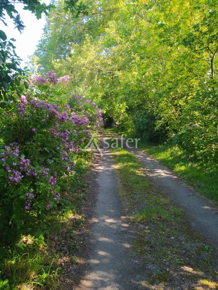 Propri&eacute;t&eacute; &eacute;questre de caract&egrave;re  Nord Loire-Atlantique