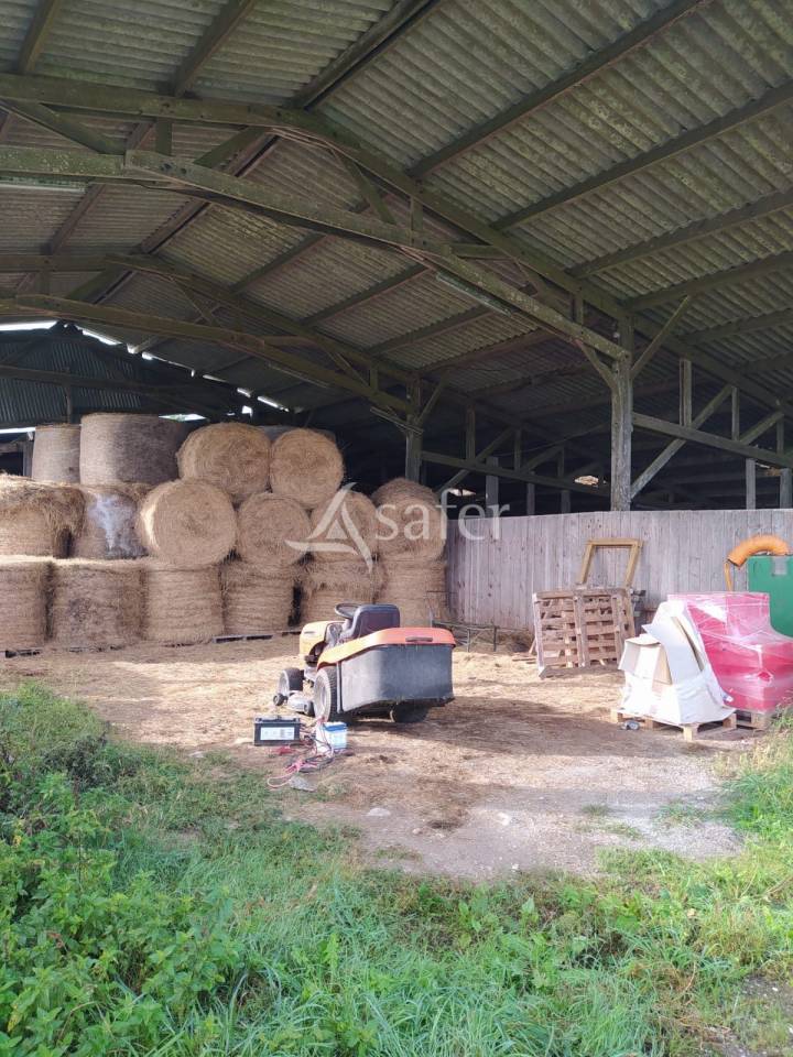 Propri&eacute;t&eacute; &eacute;questre de caract&egrave;re  Nord Loire-Atlantique