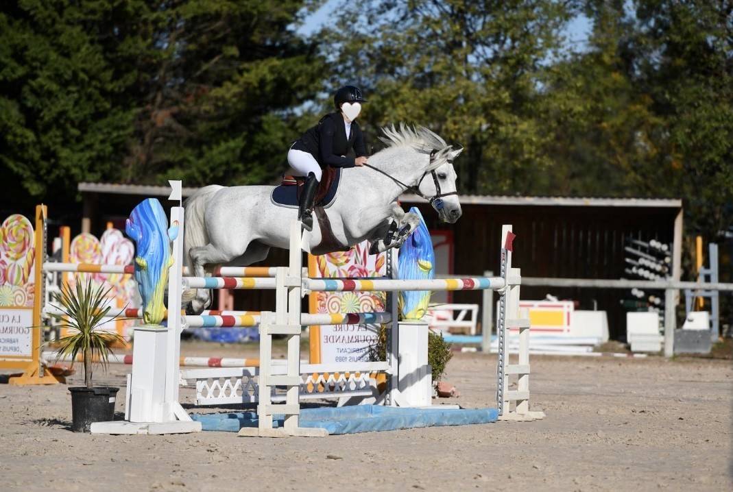 Demi-pension &ndash; Poney Connemara