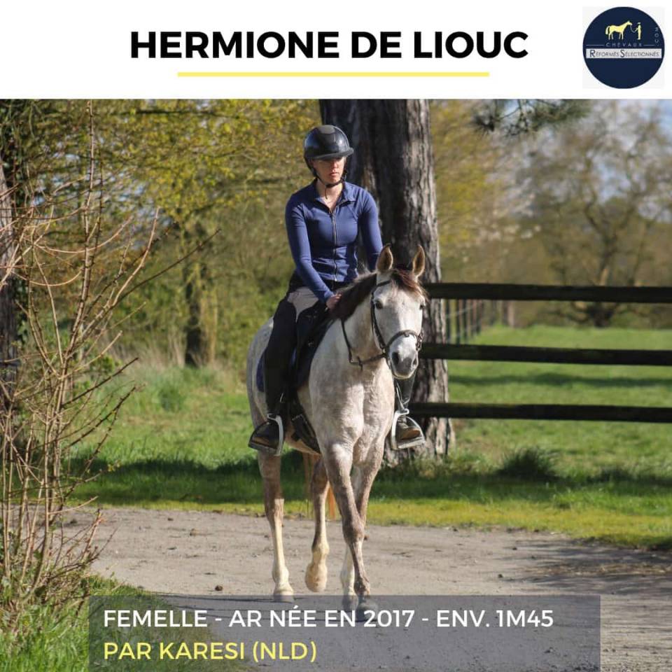 HERMIONE DE LIOUC - AR - 9 ANS 