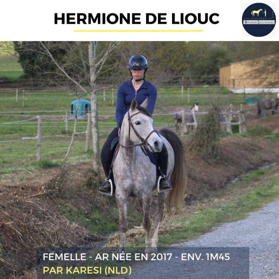 HERMIONE DE LIOUC - AR - 9 ANS 