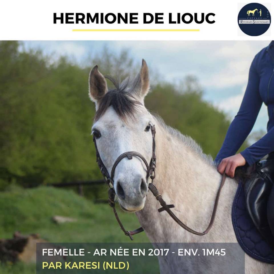 HERMIONE DE LIOUC - AR - 9 ANS 