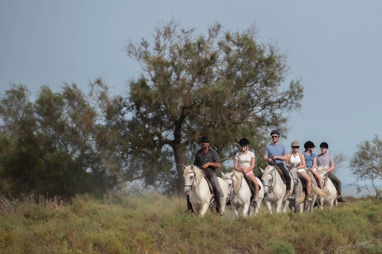 Guide &eacute;questre dans une manade en Camargue