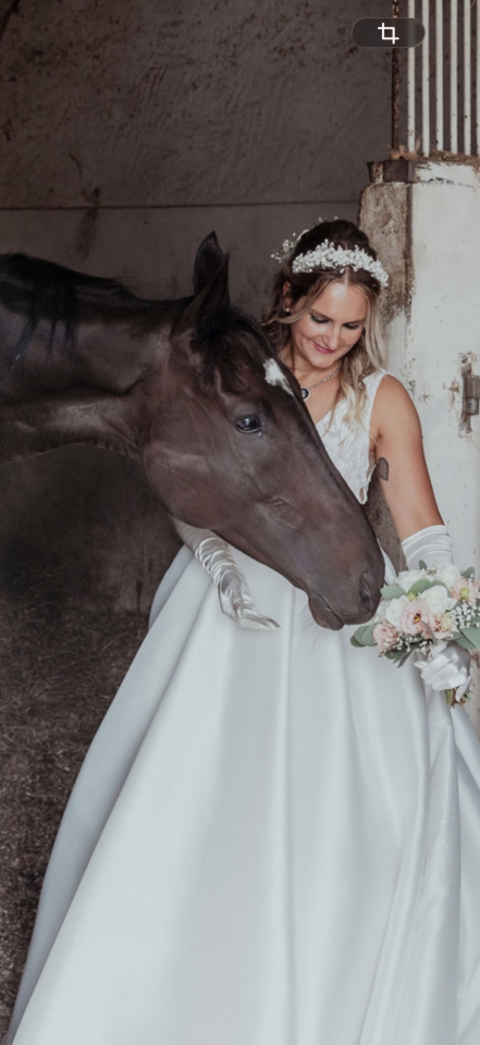 Jument pur sang de 8 ans 