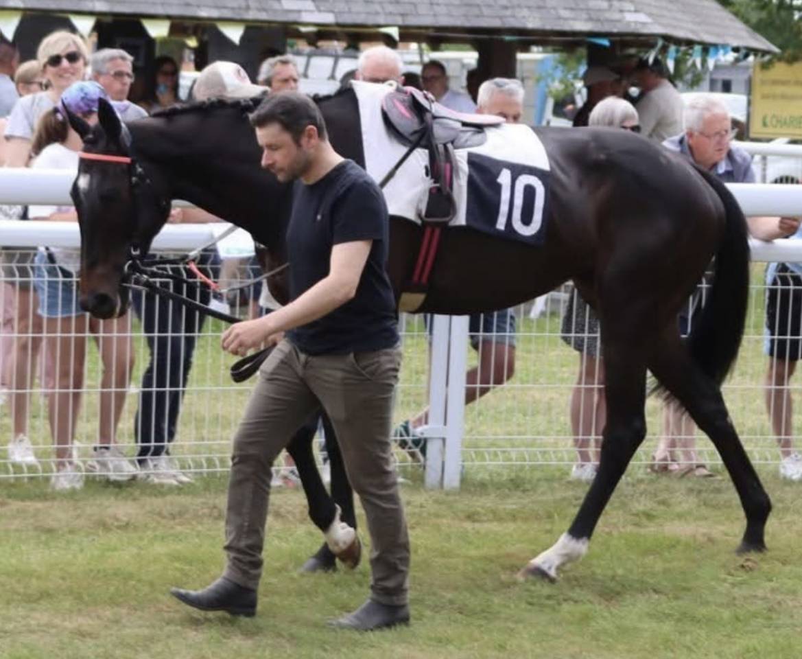 Jument pur sang de 8 ans 