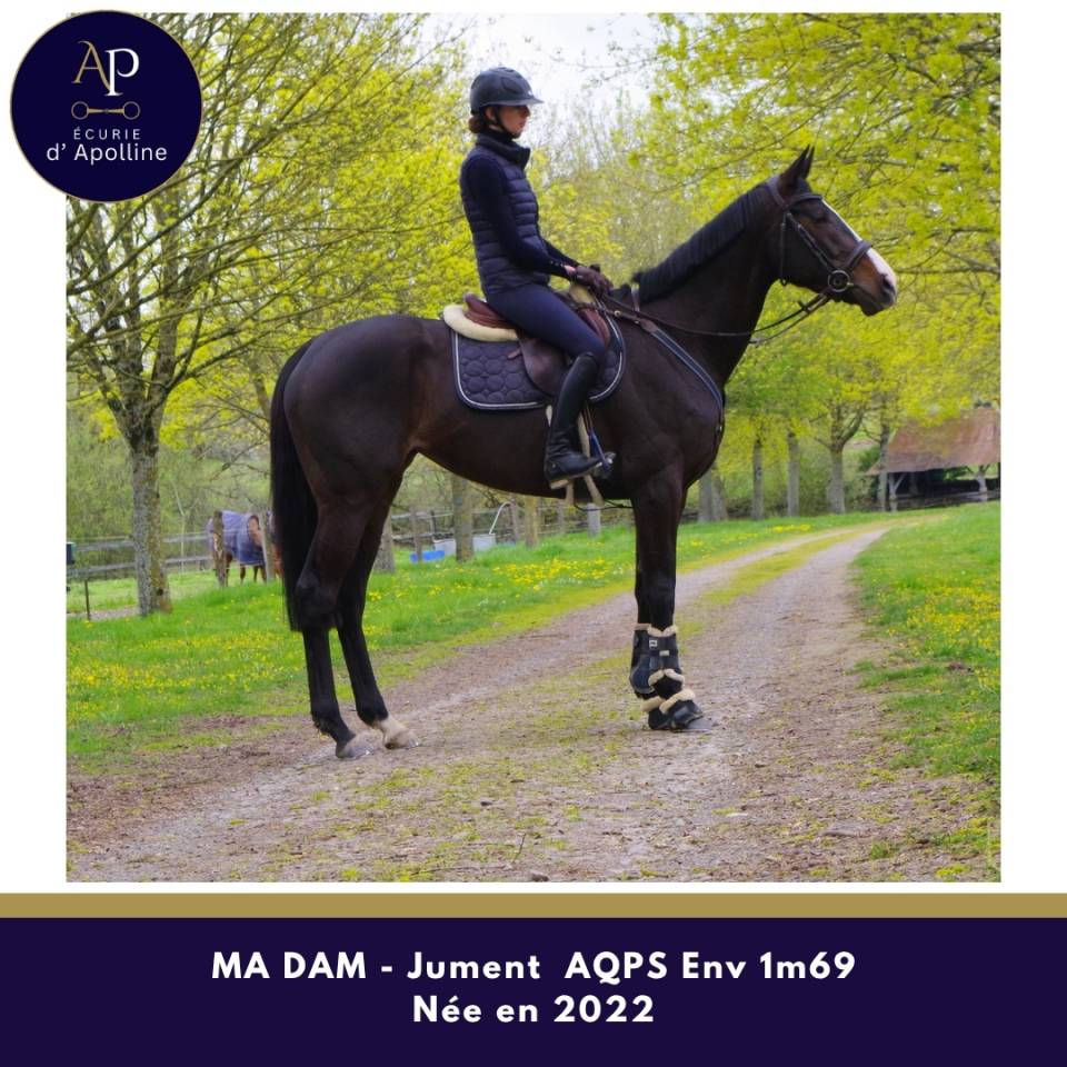 AQPS 4 ans magnifique mod&egrave;le env 1m69