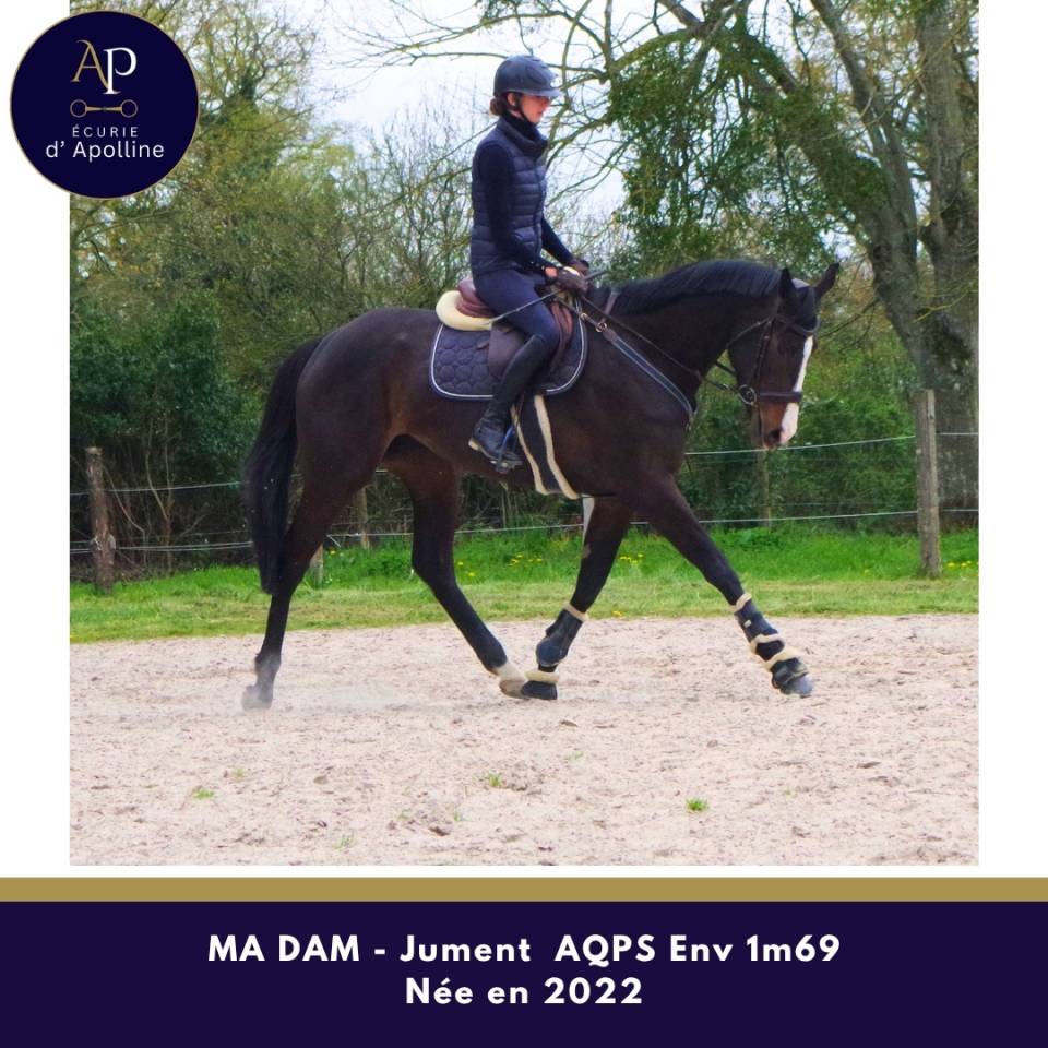 AQPS 4 ans magnifique mod&egrave;le env 1m69