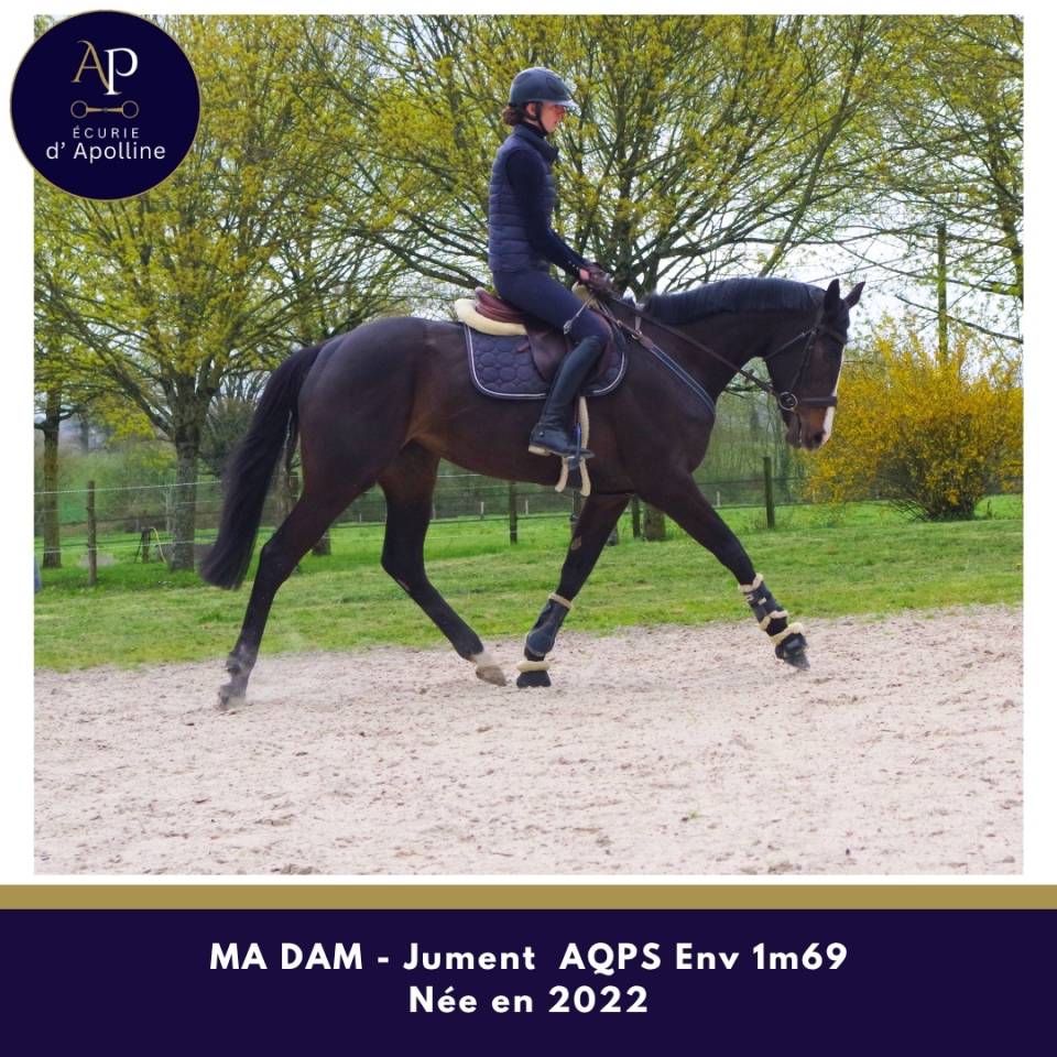 AQPS 4 ans magnifique mod&egrave;le env 1m69