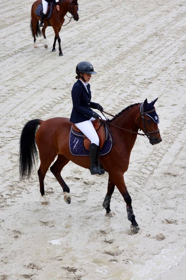 Poney de Grand prix/ Grand prix excellence 