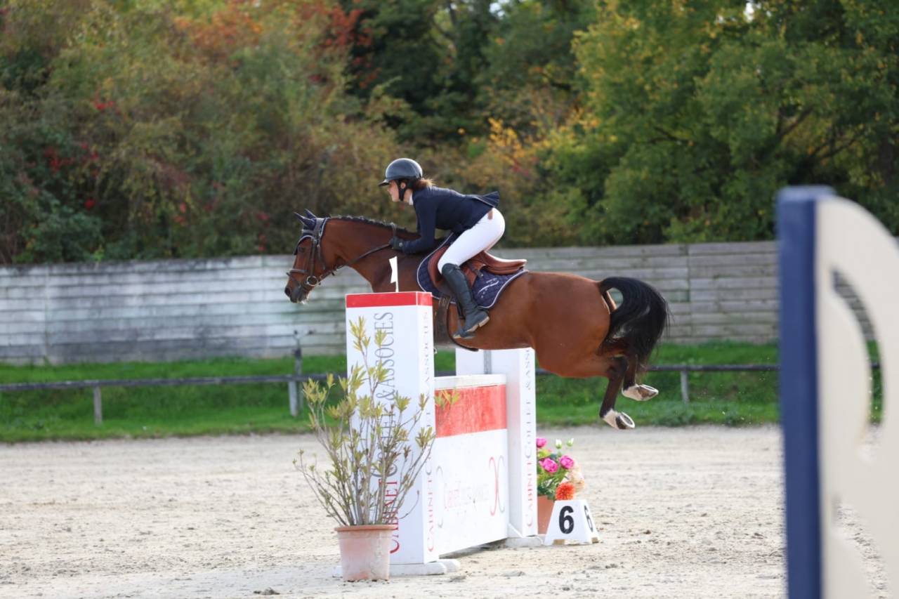 Poney de Grand prix/ Grand prix excellence 
