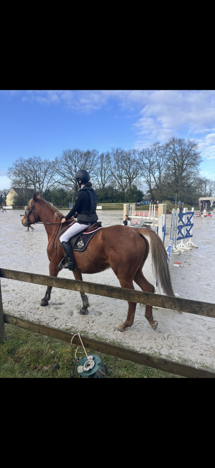 Demi-pension cheval AQPS 10ans