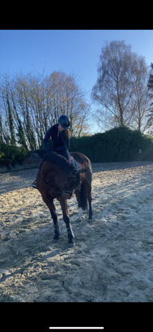 Vends ponette PFS E 1,52 10 ans 