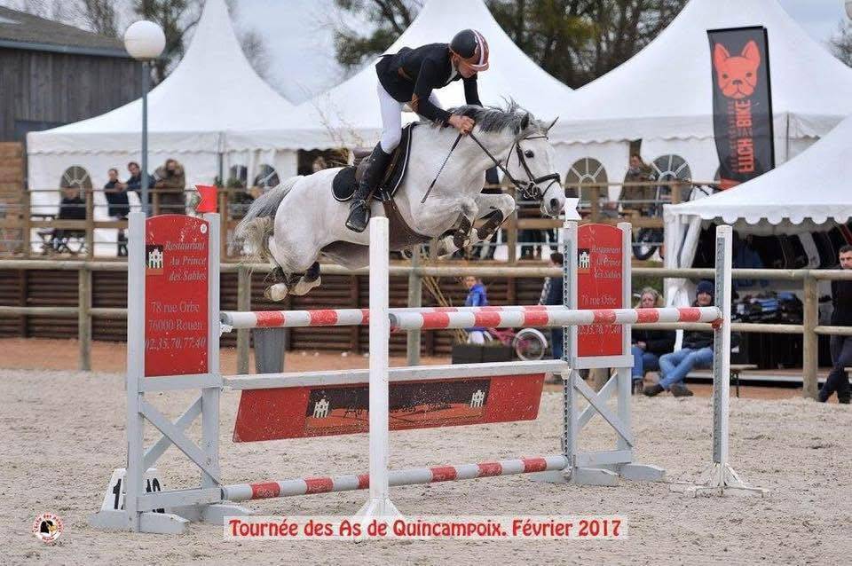 Poulain PFS 2023 &ndash; Nirvana de Lamour &ndash; Origines sport c