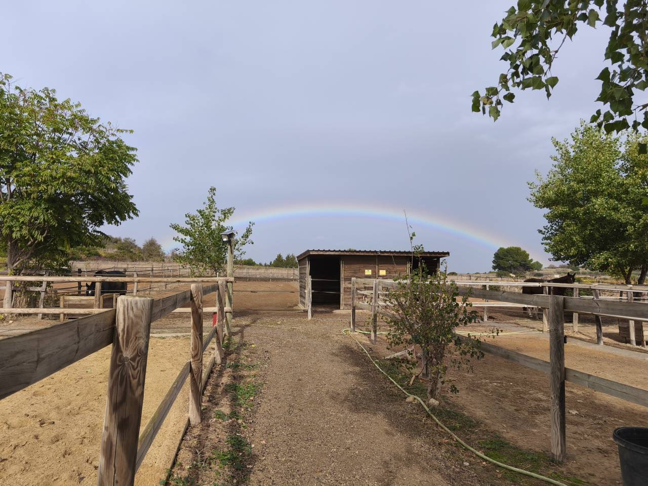 &Eacute;curies de propri&eacute;taires Montpellier 