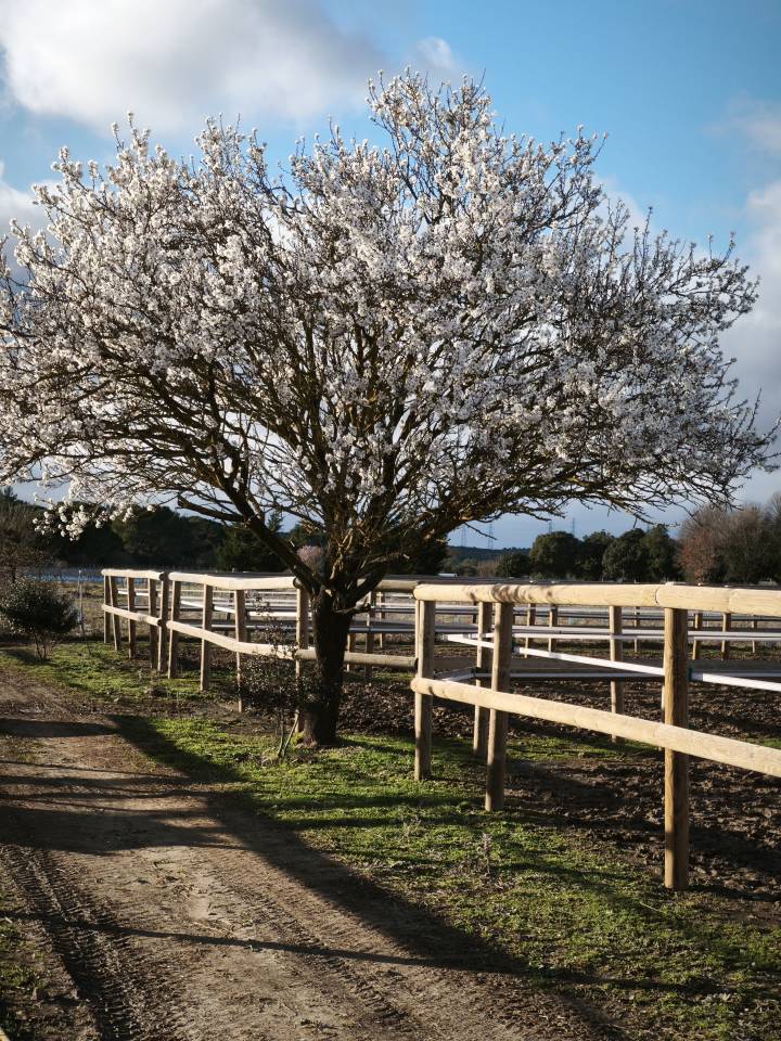 &Eacute;curies de propri&eacute;taires Montpellier 