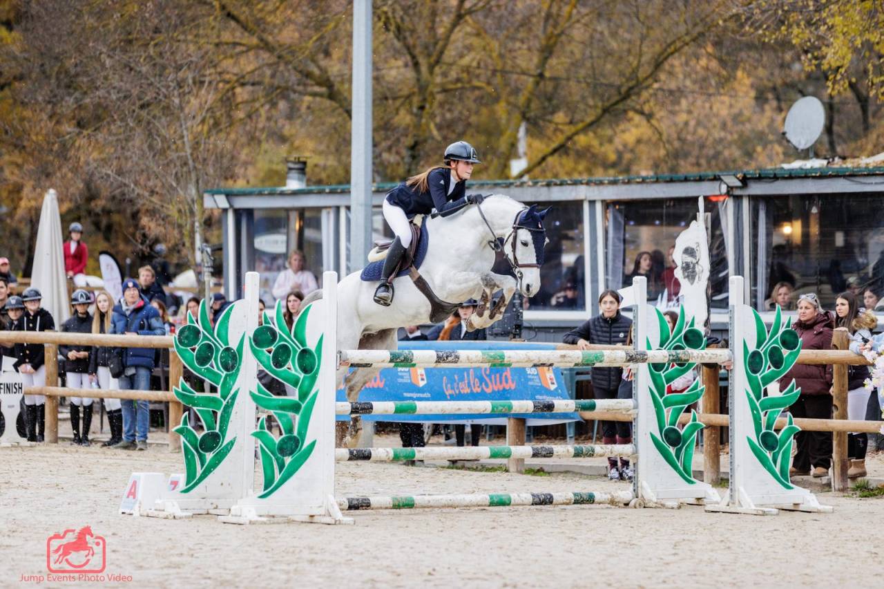 Poney de sport &agrave; vendre 