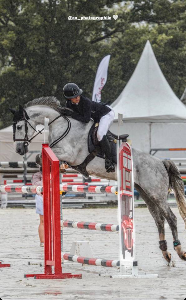 Poney de sport &agrave; vendre 