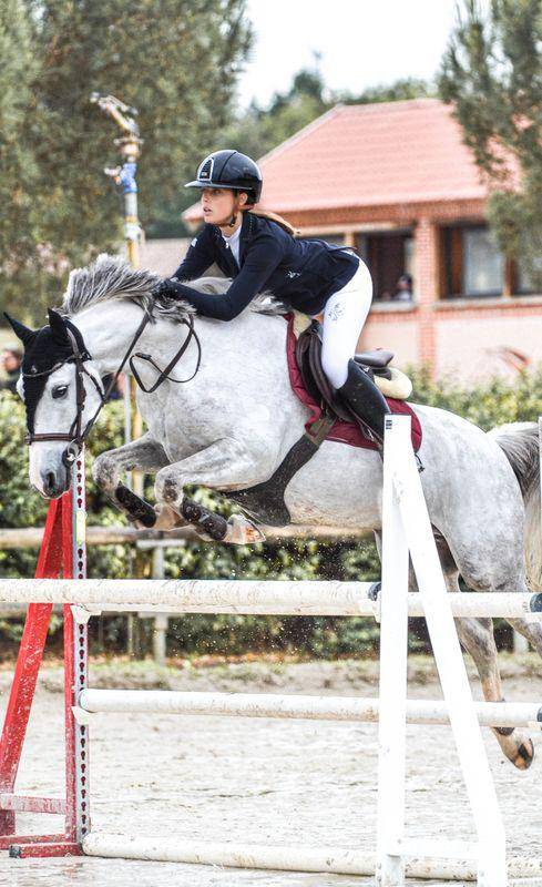 Poney de sport &agrave; vendre 