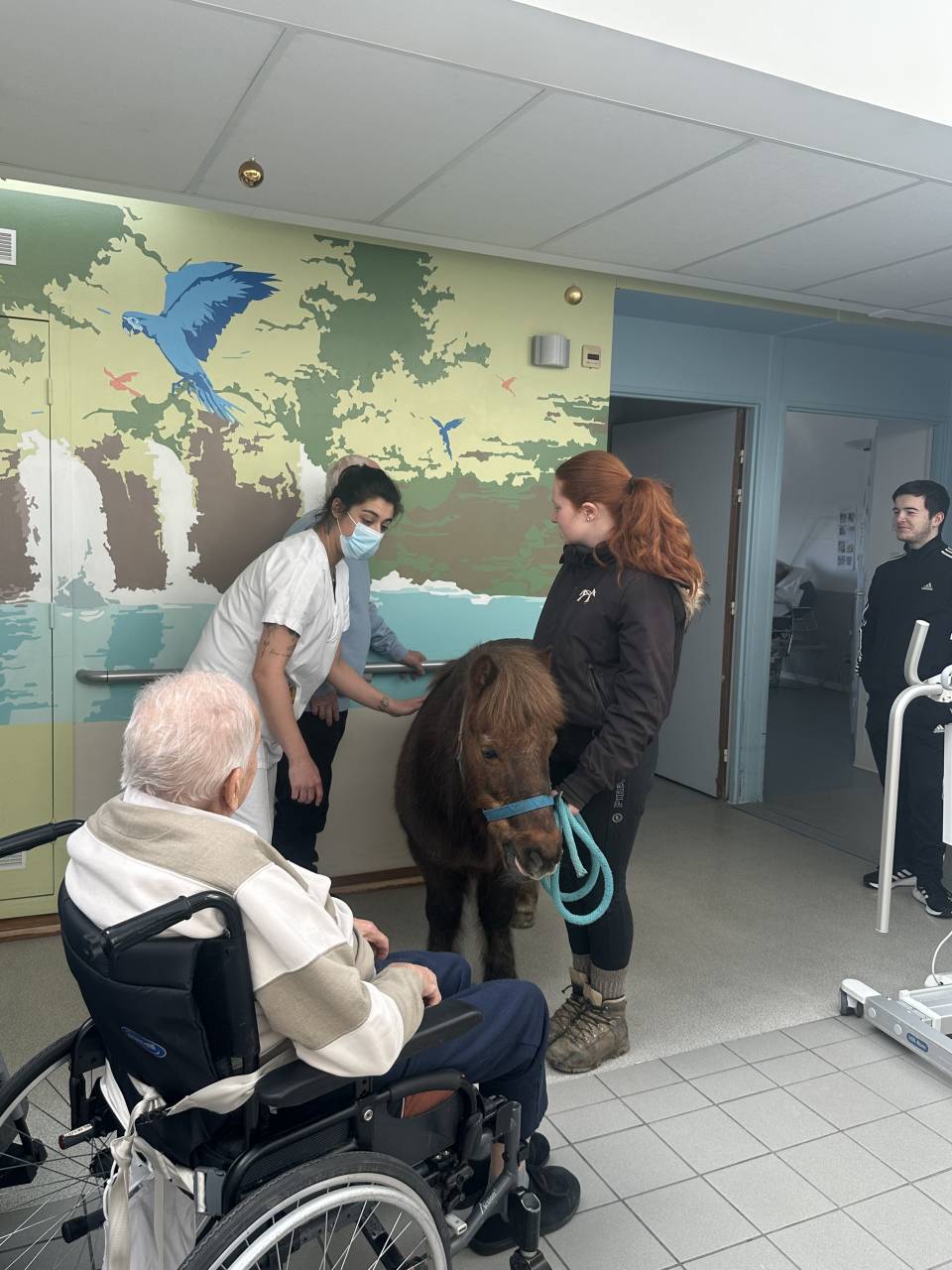 Monitrice d&rsquo;&eacute;quitation ind&eacute;pendante 