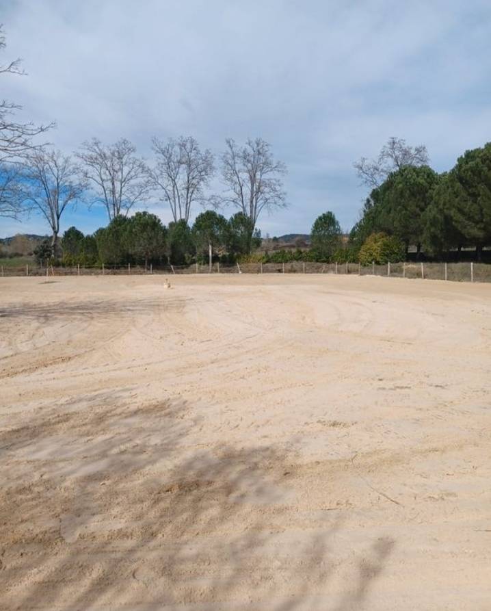 Pensions chevaux et poneys 