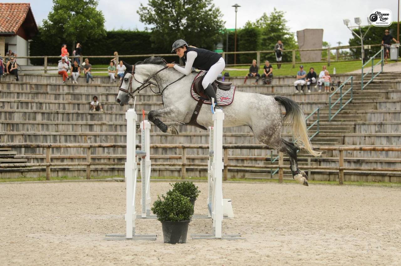 Vends jument 11ans id&eacute;al balade/loisir/poulinage