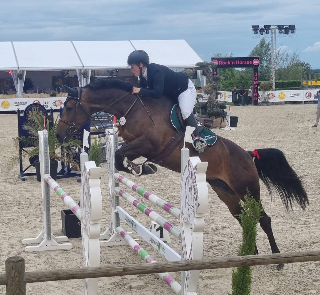 A vendre poulini&egrave;re 10 ans pleine 