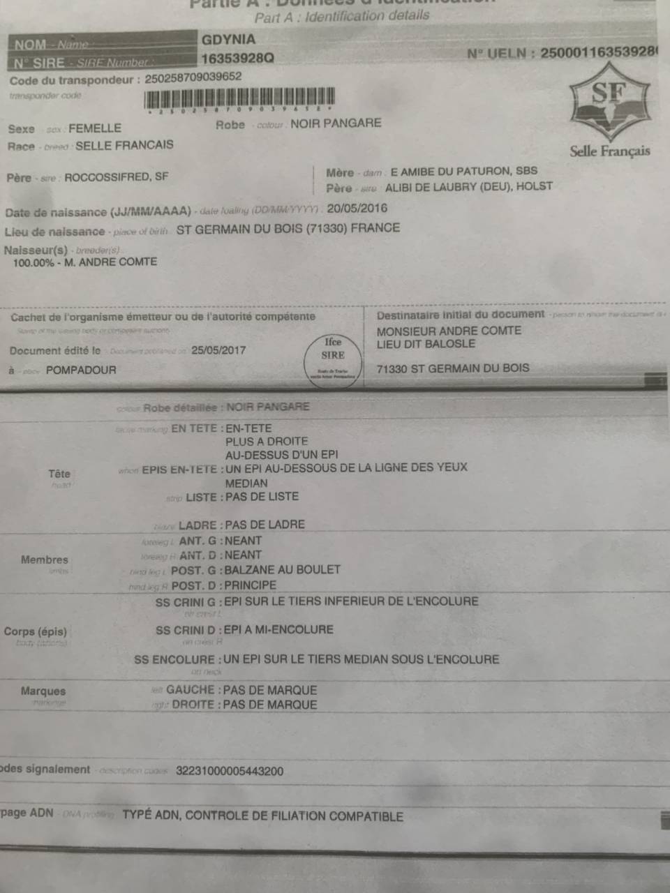 A vendre poulini&egrave;re 10 ans pleine 