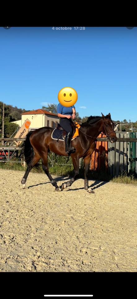 Urgent - Trotteur 5 ans