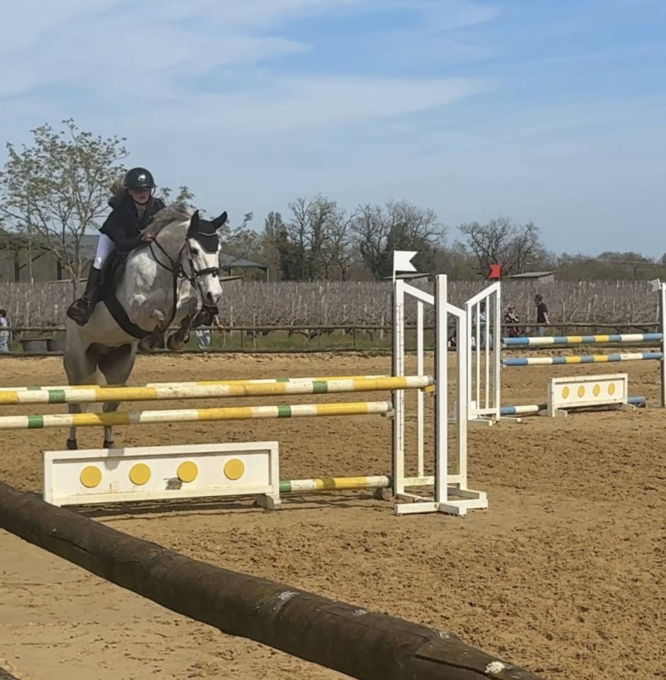 Poney PFS de 7 ans - gagnant Pelite - 145cm 