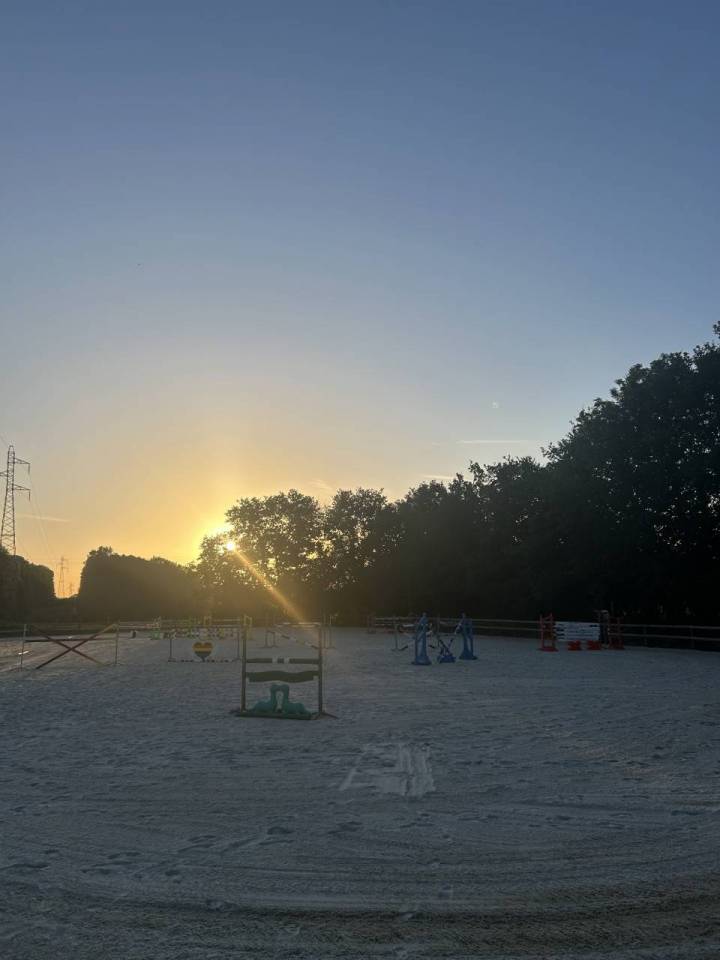 Pension chevaux - Ecurie Antun&egrave;s - Villers sur le roule