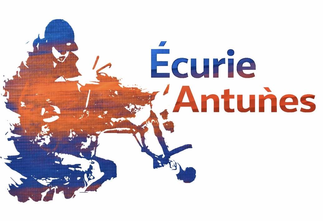 Pension chevaux - Ecurie Antun&egrave;s - Villers sur le roule