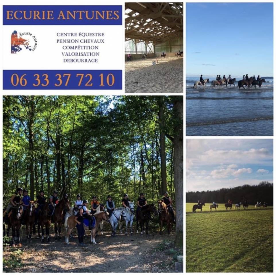 Pension chevaux - Ecurie Antun&egrave;s - Villers sur le roule
