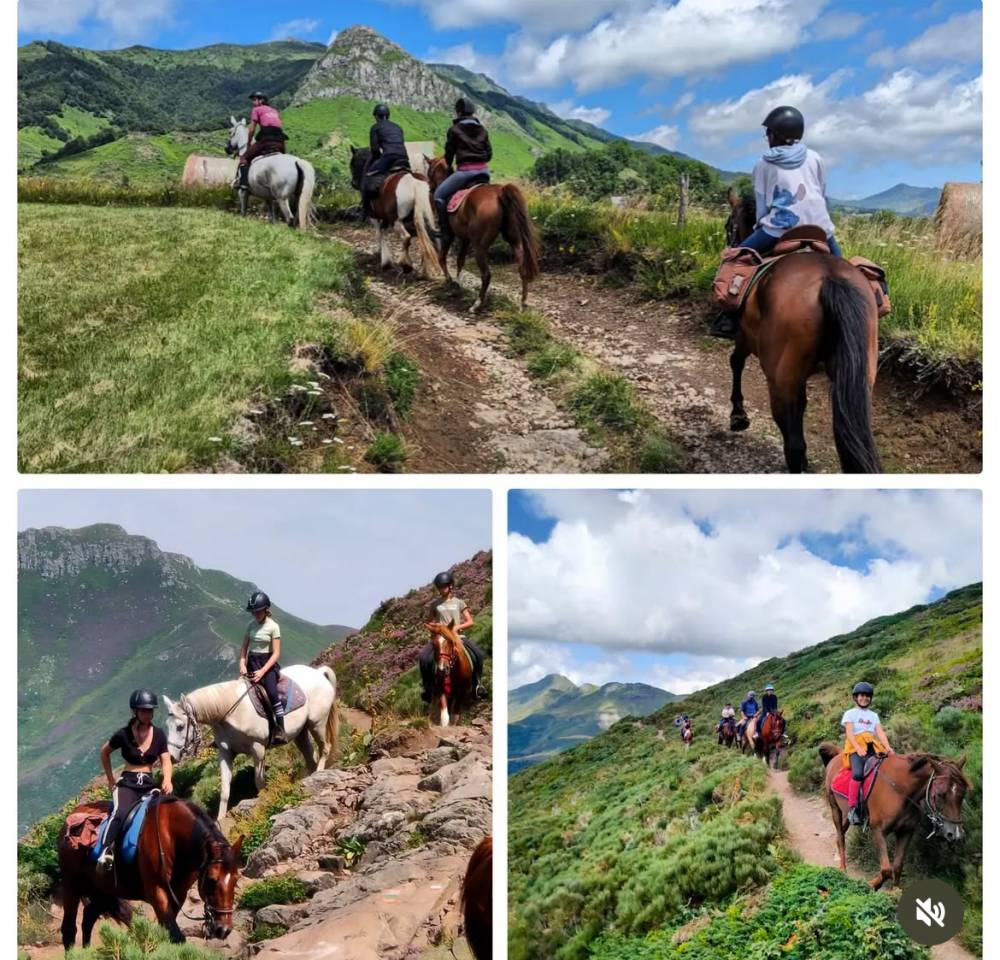 Moniteur saison estivale 