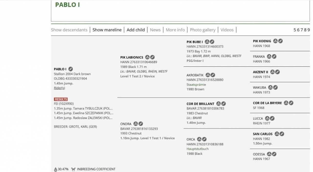 Poulain &agrave; vendre 